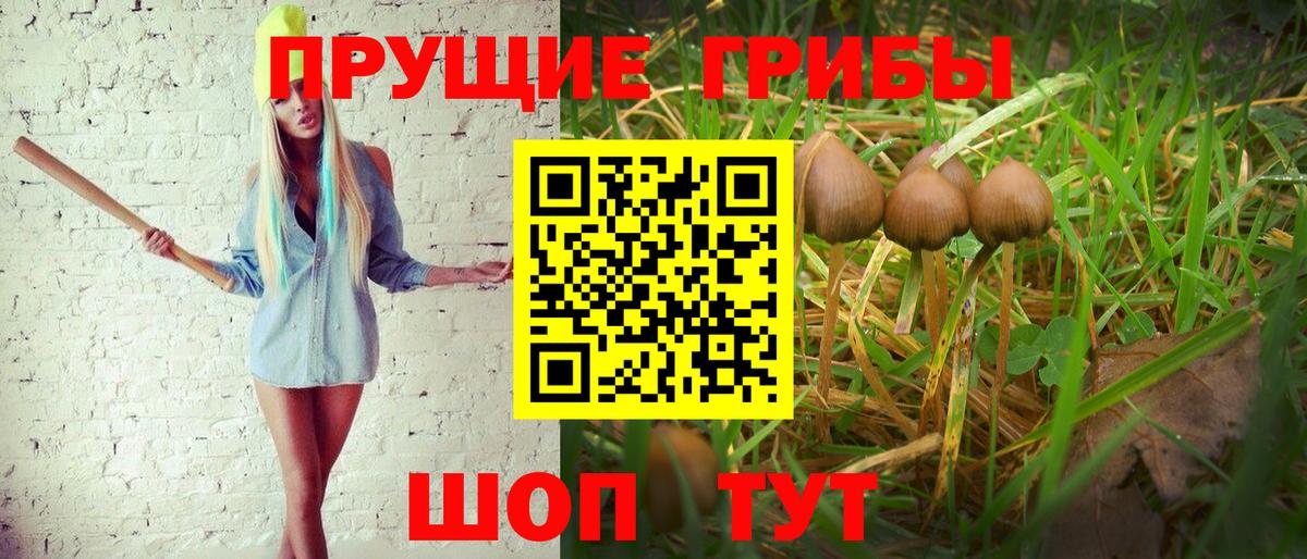 Галлюциногенные грибы Magic Shrooms Бузулук